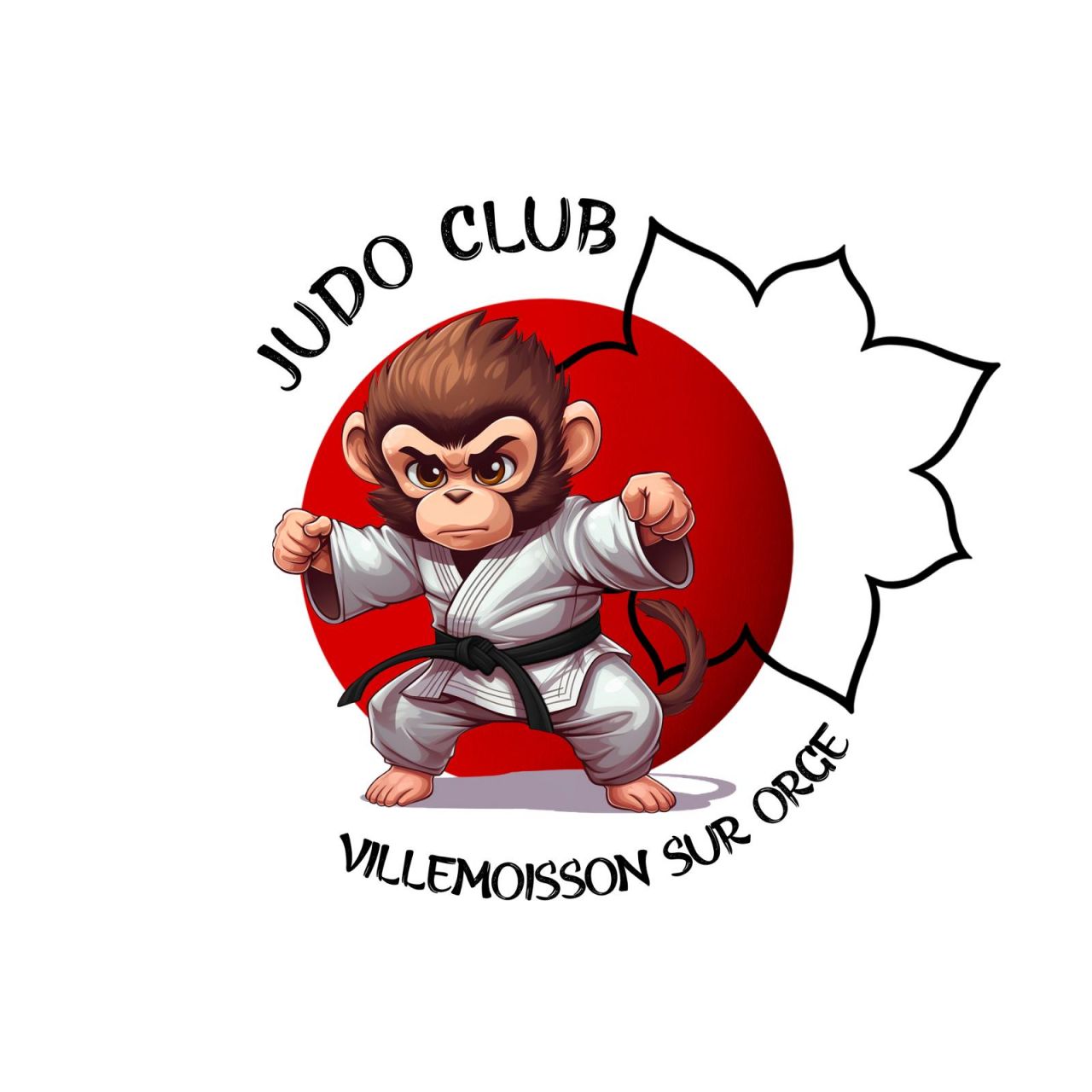 JUDO CLUB DE VILLEMOISSON